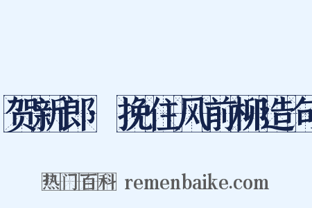 贺新郎·挽住风前柳造句是什么意思的图片